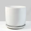 5.75in Tall Marble Aeon Ceramic Pot & Saucer