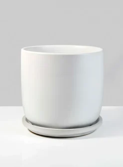 5.75in Tall Marble Aeon Ceramic Pot & Saucer