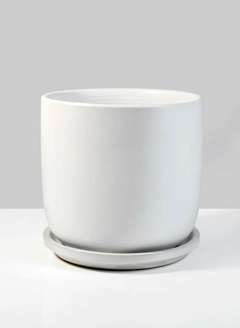 5.75in Tall Marble Aeon Ceramic Pot & Saucer