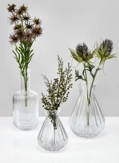 7.75in Tall Marie Curie Flask Glass Vase