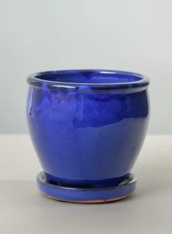 6in Tall Ming Blue Glaze Ceramic Pot with Saucer
