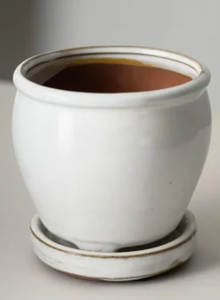 5in Tall Ming Cloud White Ceramic Pot with Saucer