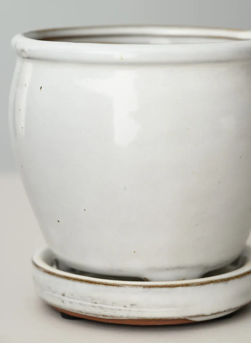 5in Tall Ming Cloud White Ceramic Pot with Saucer