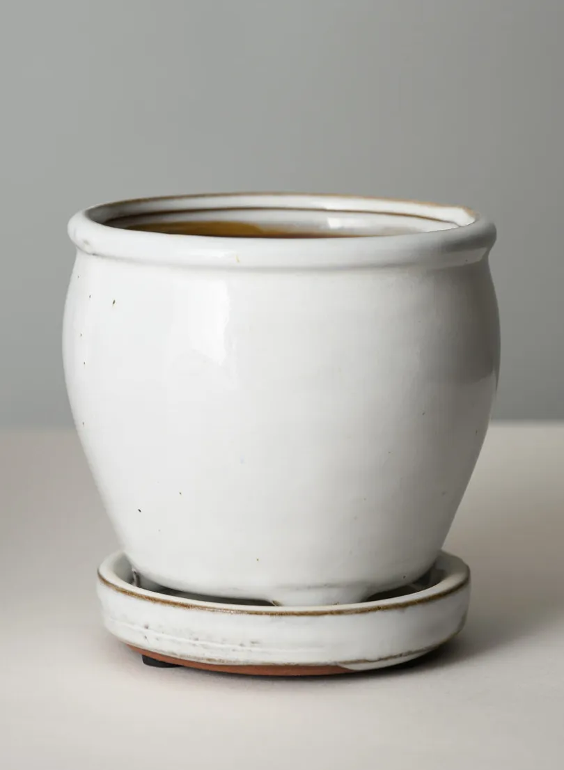 5in Tall Ming Cloud White Ceramic Pot with Saucer