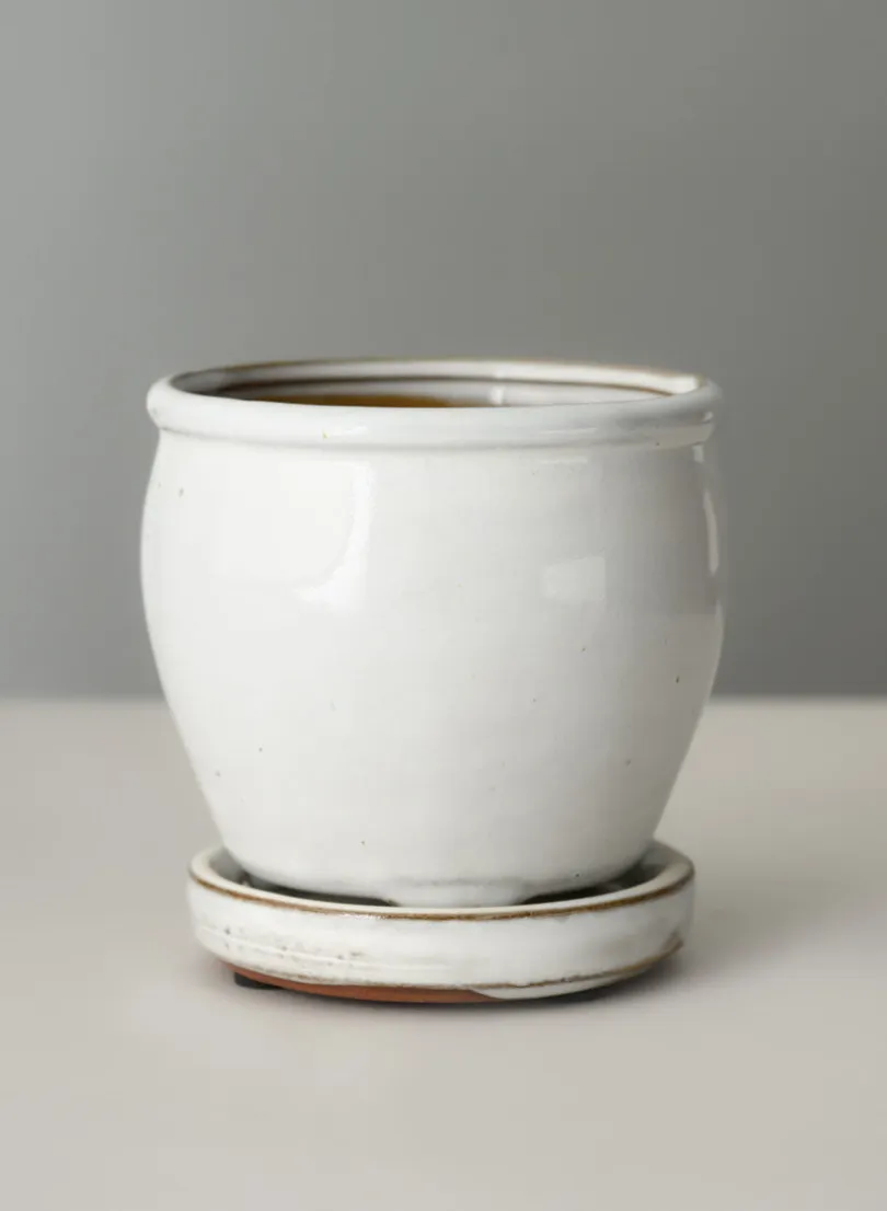 5in Tall Ming Cloud White Ceramic Pot with Saucer