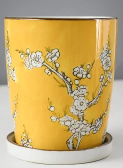 6in Tall Ming Safron Ceramic Pot with Saucer