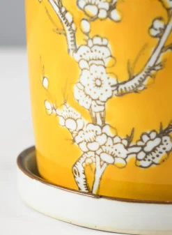 6in Tall Ming Safron Ceramic Pot with Saucer