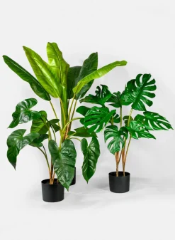 28in Tall Monstera Leaf Plant