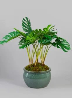 28in Tall Monstera Leaf Plant