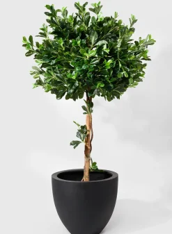 15in Tall Morelia Round Black Fiberstone Pot
