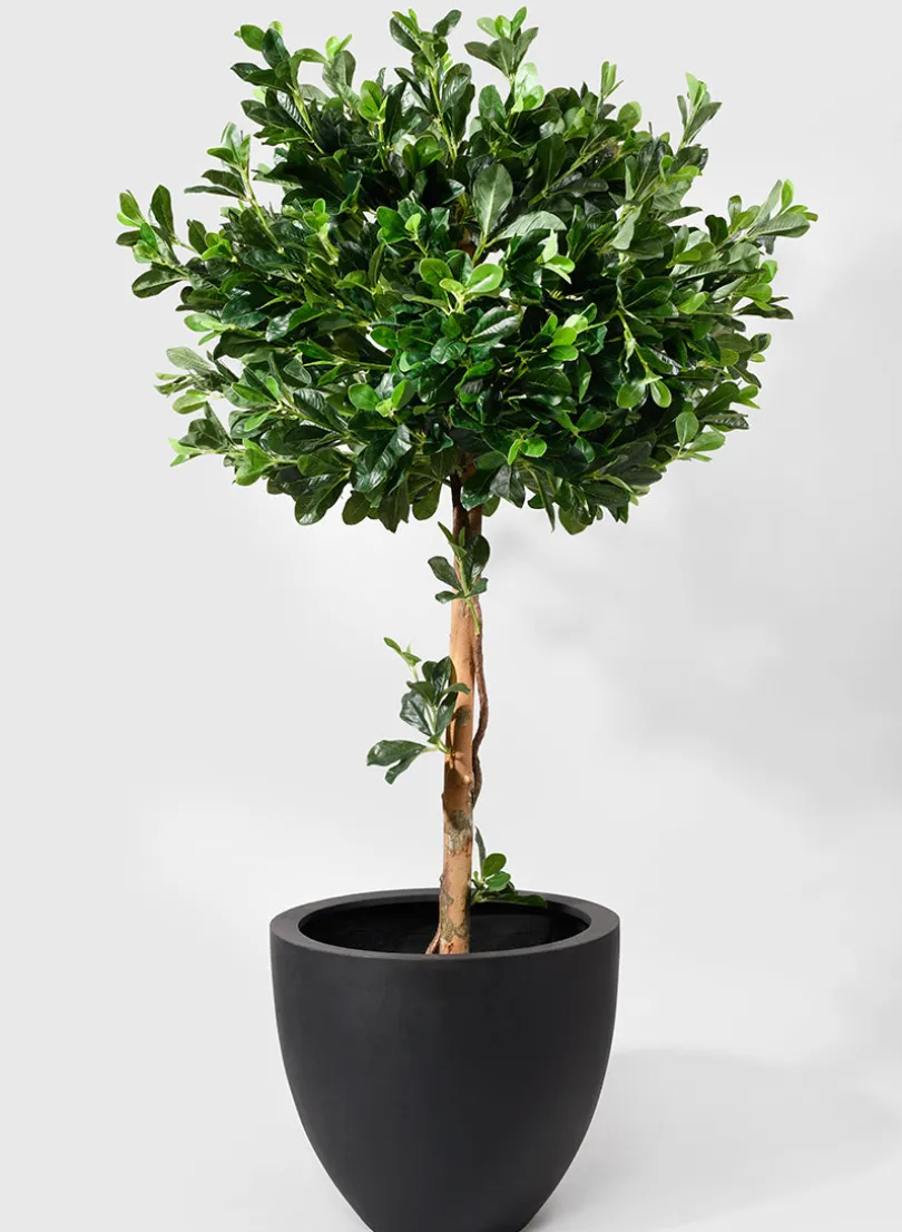15in Tall Morelia Round Black Fiberstone Pot