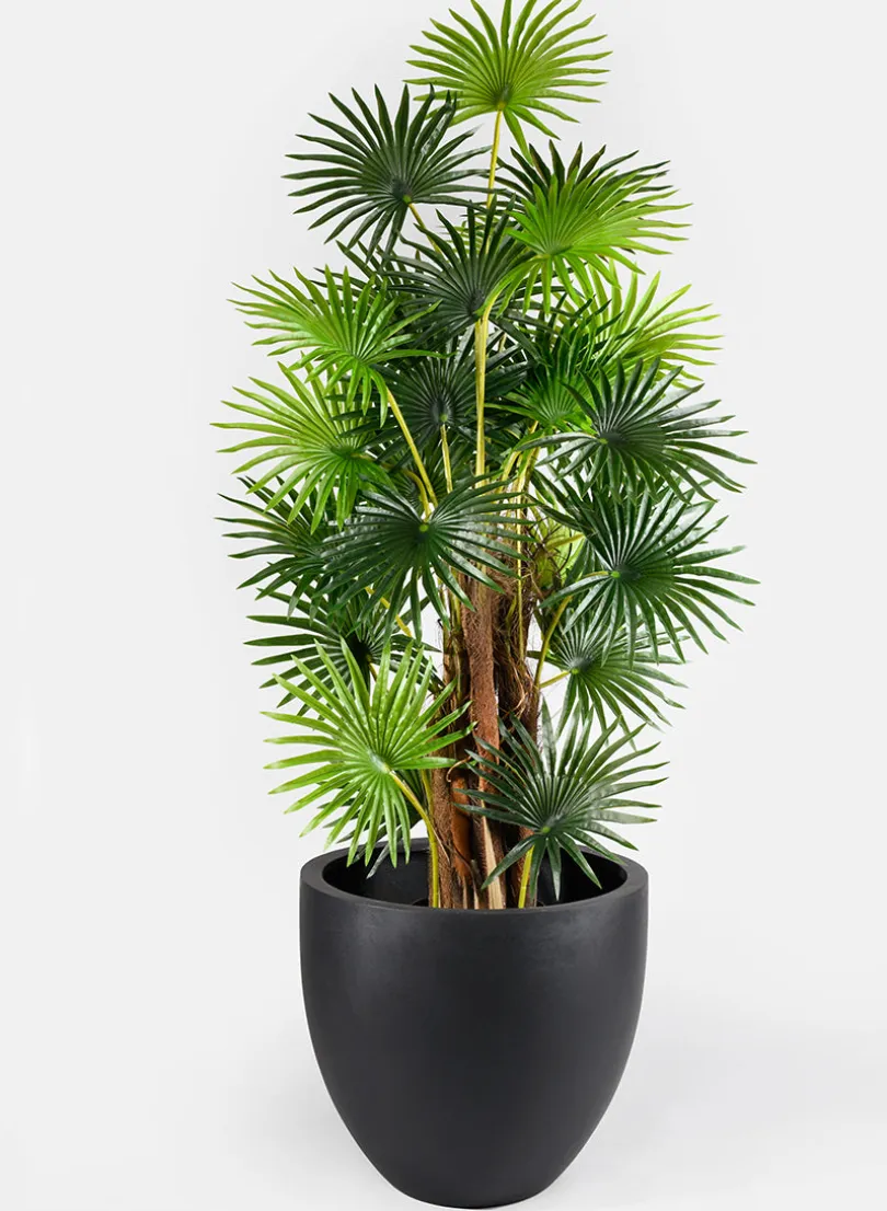 18in Tall Morelia Round Black Fiberstone Pot