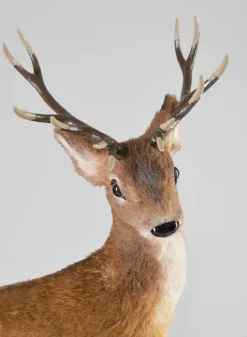 22in Tall Natural Deer