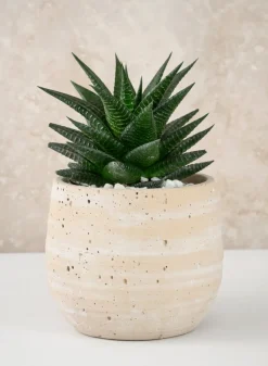 5in Tall Natural Slate Beige Cement Cache Pot