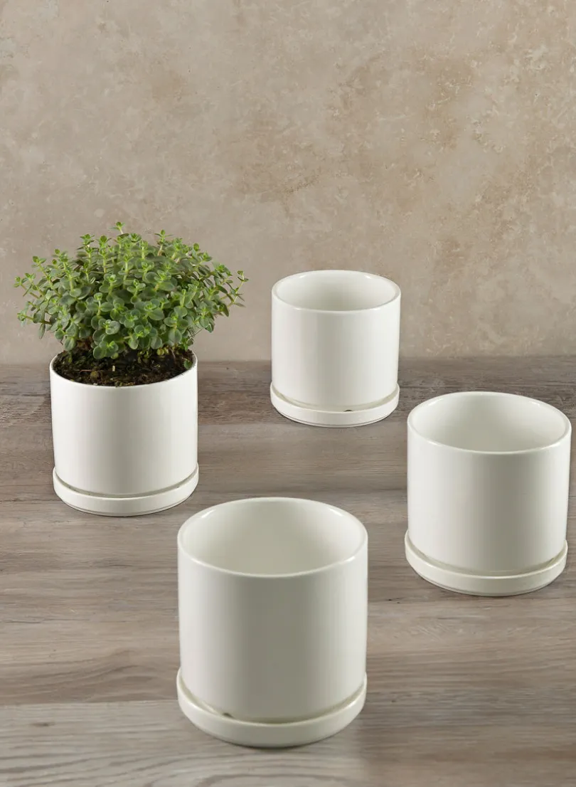 4.5in Tall Odense White Indoor Ceramic Pot with Saucer, Set of 4