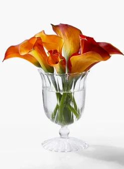 5.25in Tall Optical Glass Mini Urn Vase