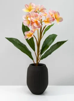 8in Tall Oslo Chocolate Vase