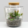 11in Tall Pantanal Glass Terrarium with Cork, Large
