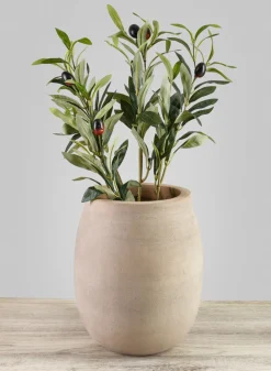 9in Tall Petra Aged Terracotta Jar Planter