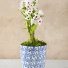 8in Tall Provence Ceramic Planter with Saucer