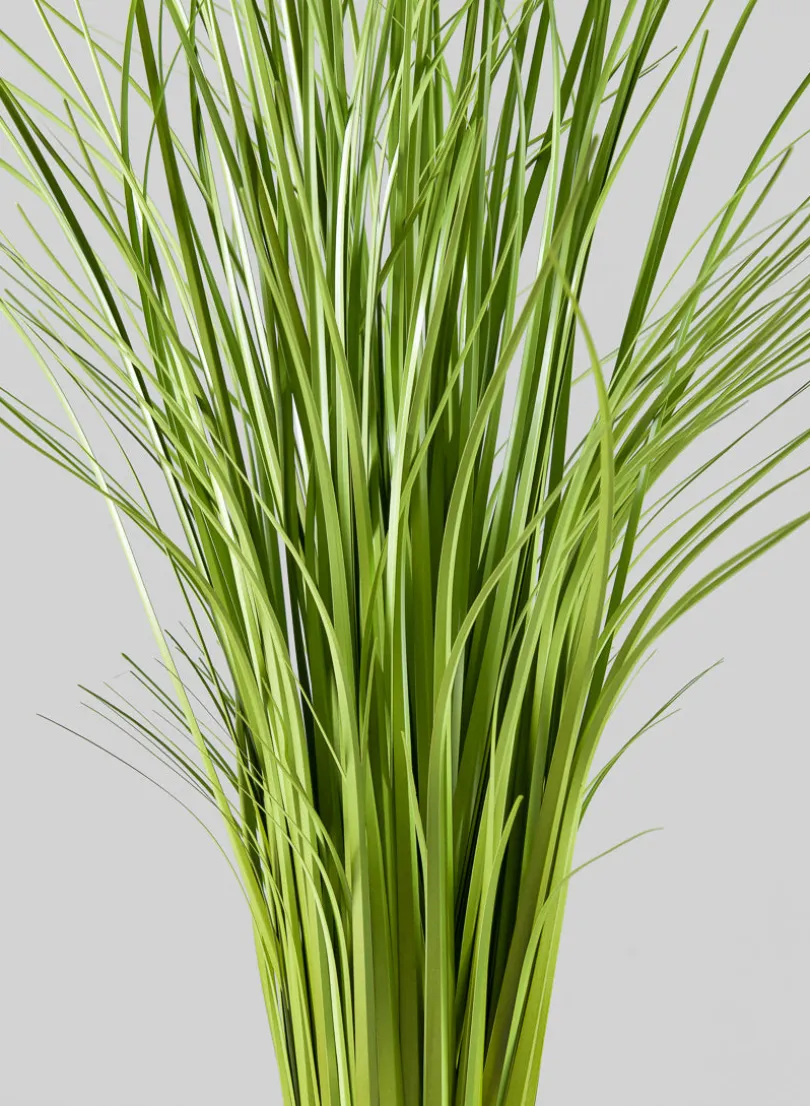 30in Tall Real Look Onion Grass Display Bunch