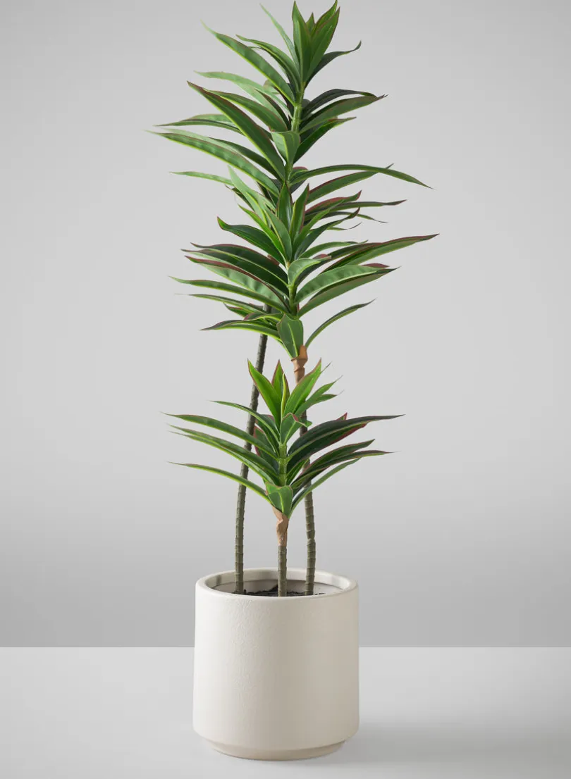32in Tall Real Touch Dracaena Plant In a White Pot