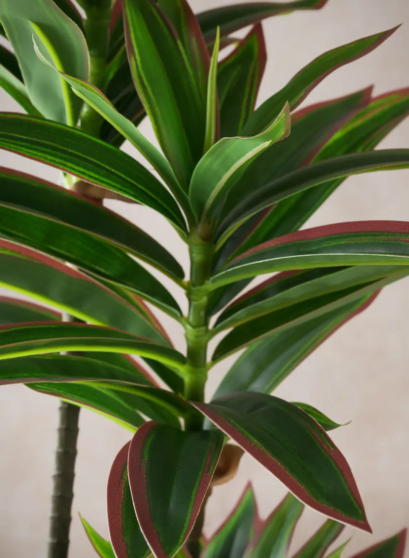32in Tall Real Touch Dracaena Plant In a White Pot