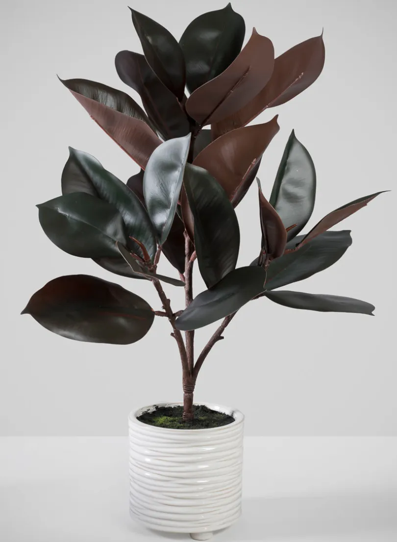 26in Tall Real Touch Real Look Rubber Tree in Ceramic Pot