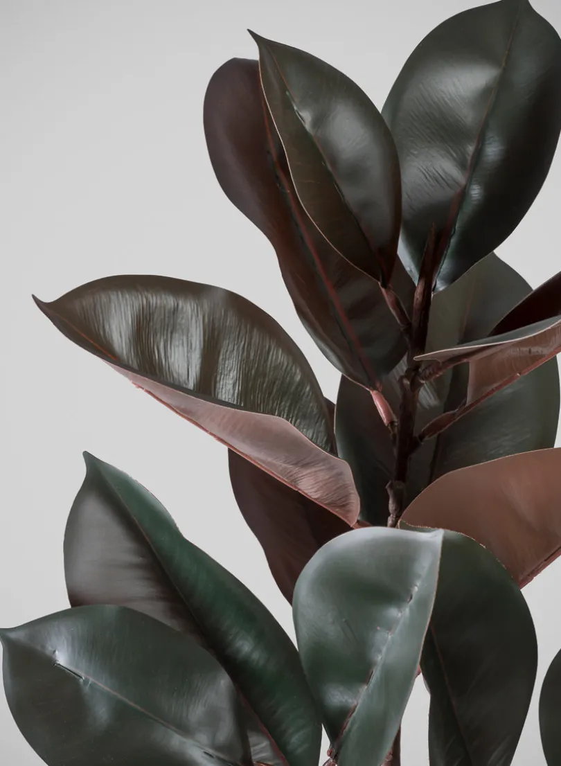 26in Tall Real Touch Real Look Rubber Tree in Ceramic Pot