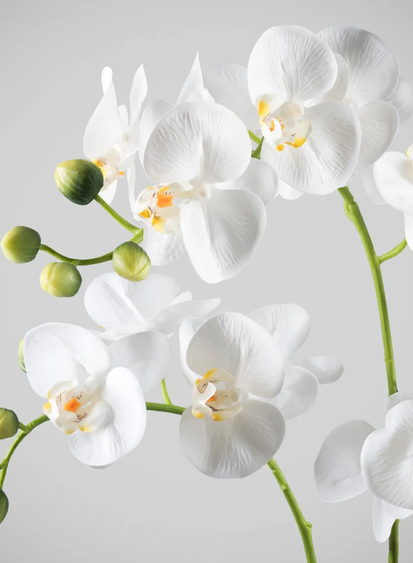 23in Tall Real Touch 3 Stem Blooming Orchid Phalaenopsis in Decorative Ceramic Pot