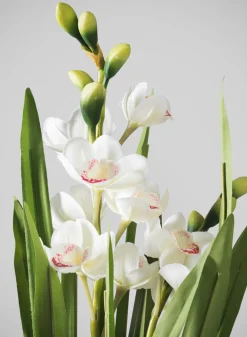20.5in Tall Real Touch 2 Stem Cymbidium Orchid in Decorative Ceramic Pot