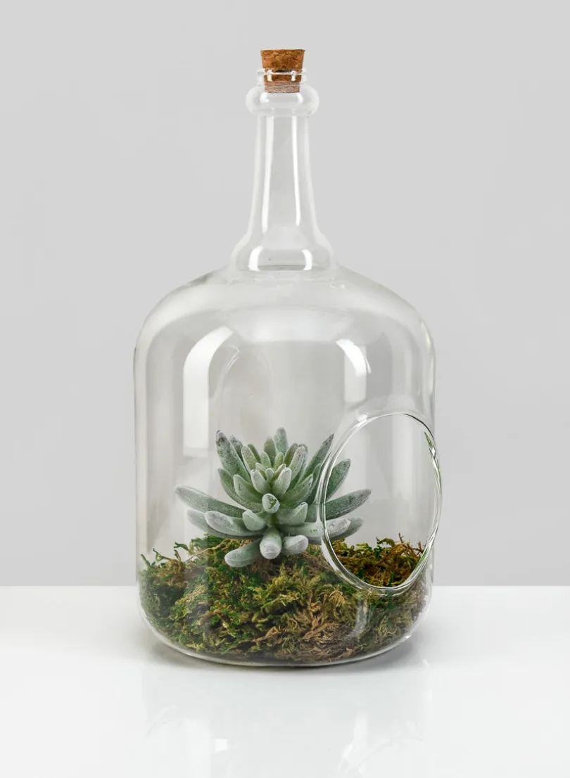 10.75in Tall Rio Bottle Glass Terrarium, Large