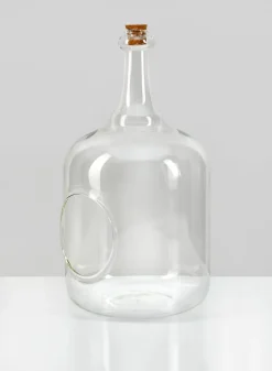 10.75in Tall Rio Bottle Glass Terrarium, Large