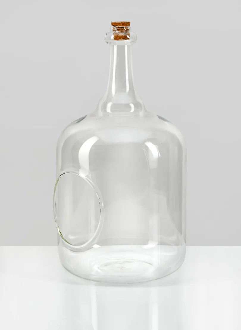 10.75in Tall Rio Bottle Glass Terrarium, Large