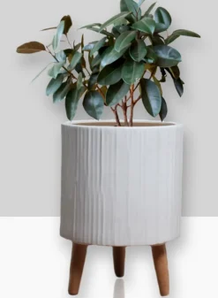 15.75in Tall Ripple Matte White Ceramic Planter With Wood Legs