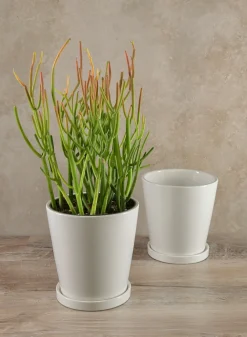 7in Tall Rouen White Ceramic Pot with Saucer, Set of 2