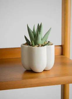 3.25in Tall Sand White Freya Ceramic Cachepot, Set of 4