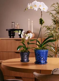 7in Tall Santorini Blue Orchid Ceramic Pot with Saucer