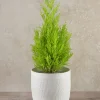 7in Tall Santorini Sand White Ceramic Cachepot