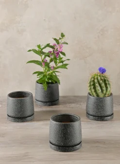4in Tall Sigtura Sand Black Indoor Ceramic Pot with Saucer, Set of 4