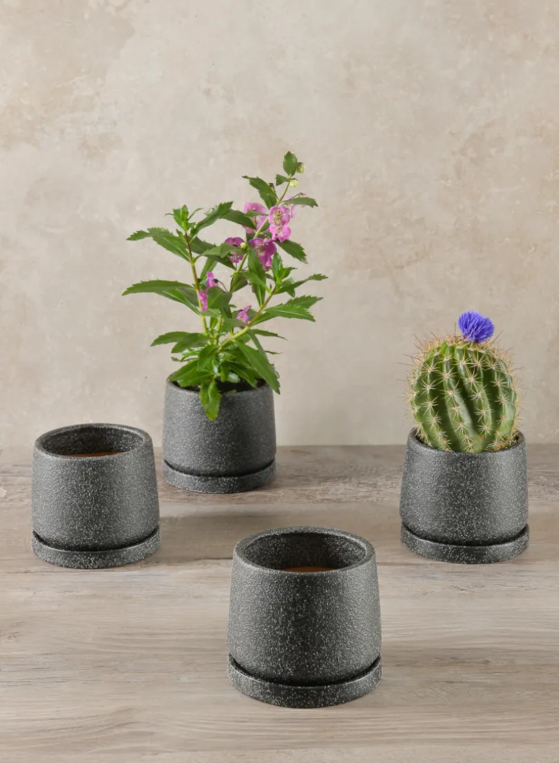 4in Tall Sigtura Sand Black Indoor Ceramic Pot with Saucer, Set of 4