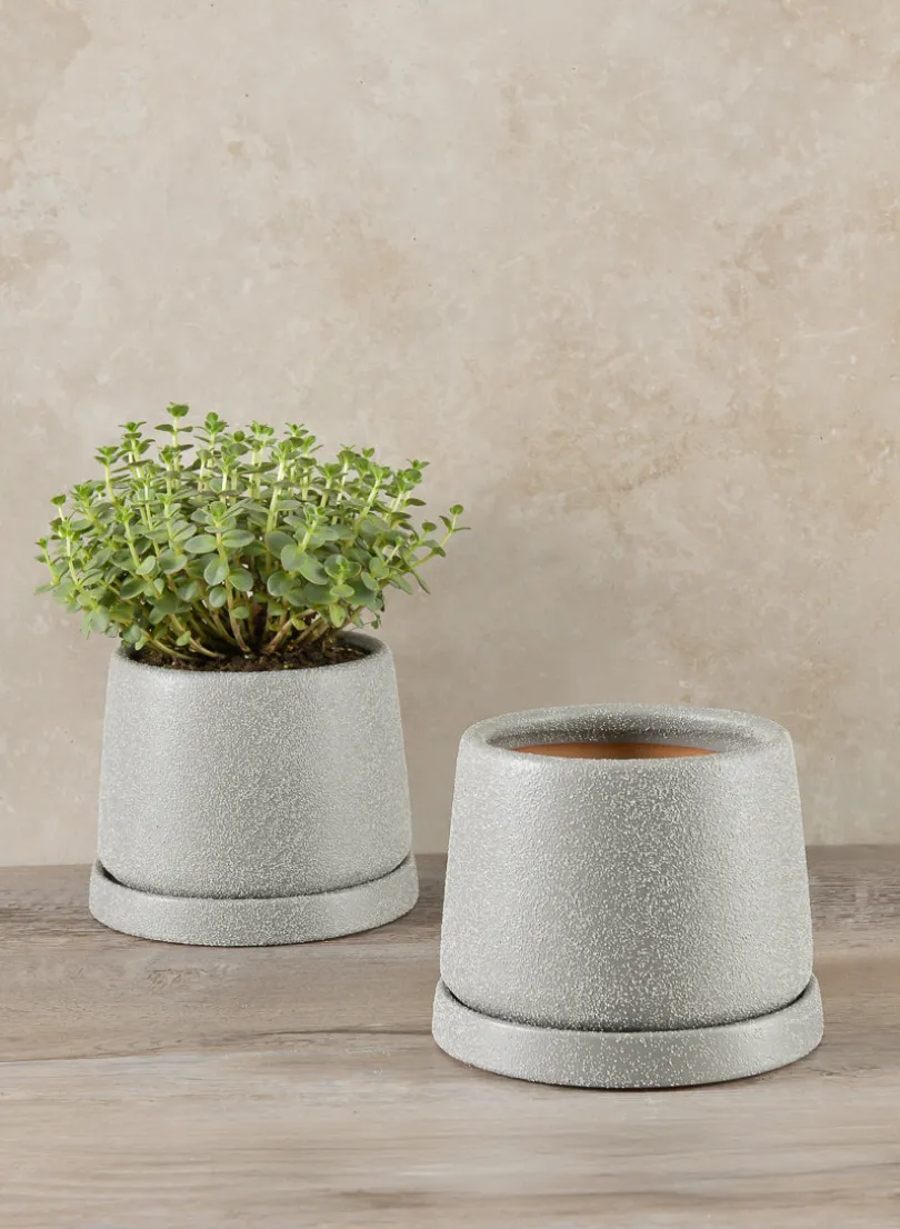 4.5in Tall Sigtura Sand Grey Indoor Ceramic Pot with Saucer, Set of 2