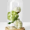 10in Tall Square Glass Cloche With A Wood Base
