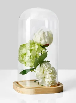 10in Tall Square Glass Cloche With A Wood Base