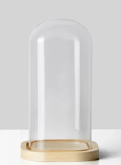 10in Tall Square Glass Cloche With A Wood Base