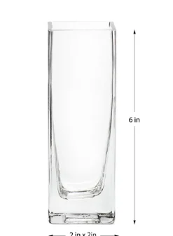 6in Tall Square Glass Vase, Set of 4