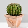 7.75in Tall Square Quadra Olive Pot