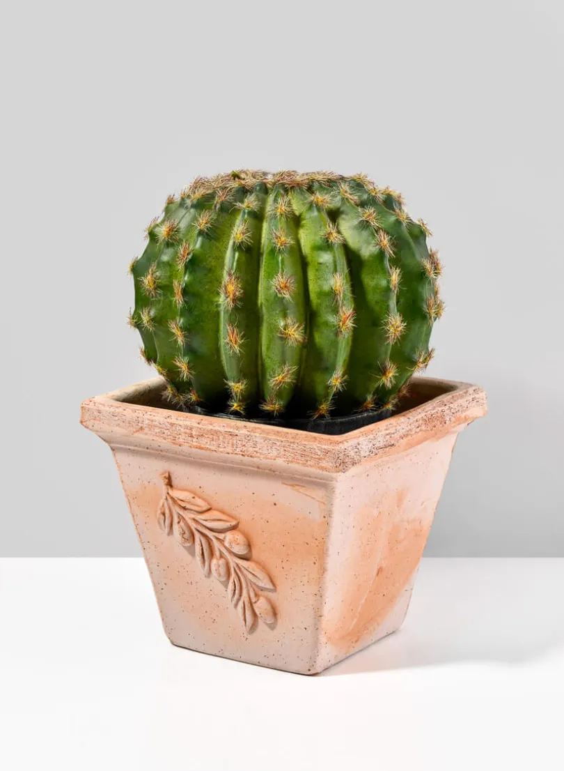 7.75in Tall Square Quadra Olive Pot