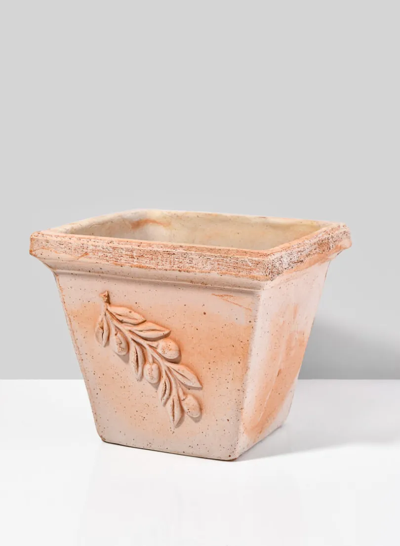 7.75in Tall Square Quadra Olive Pot