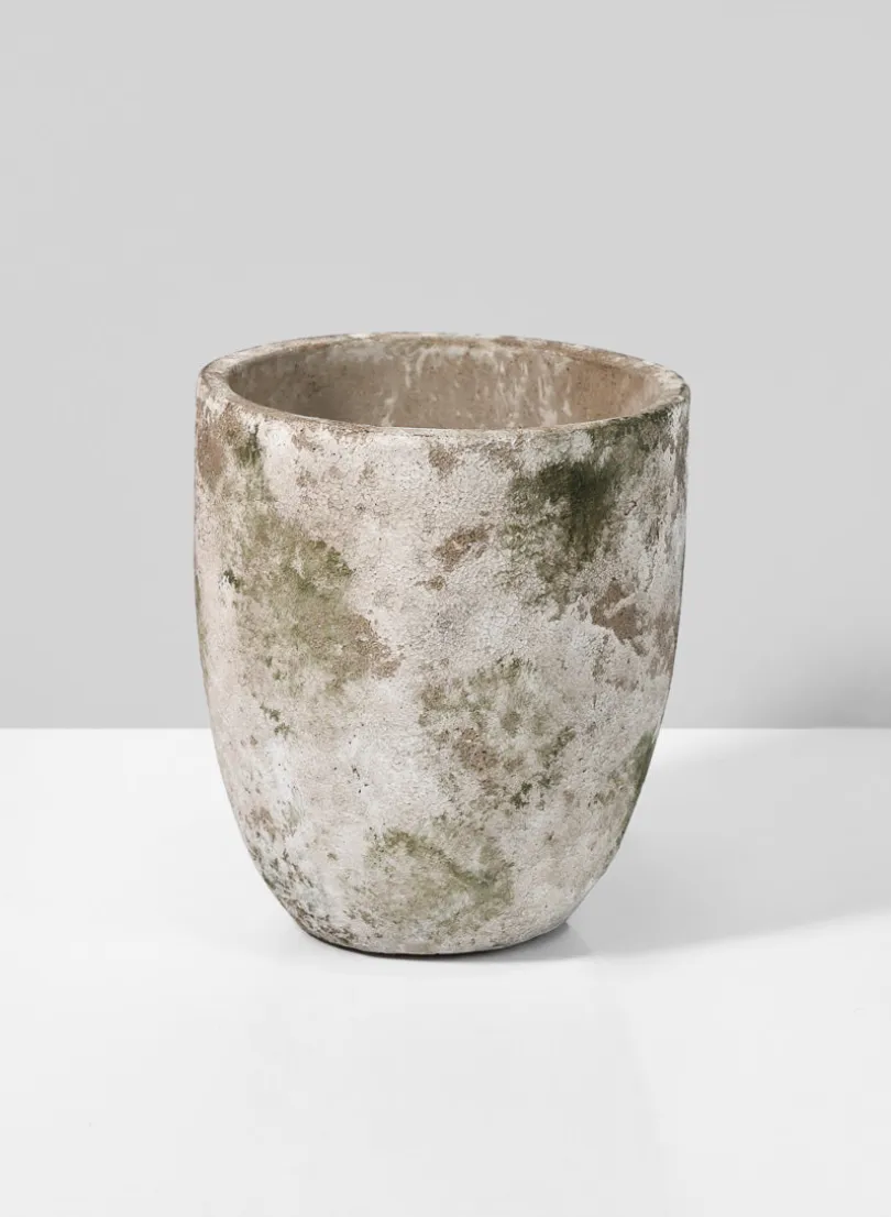 5in Tall Sturgeon Moon Aged Cement Planter
